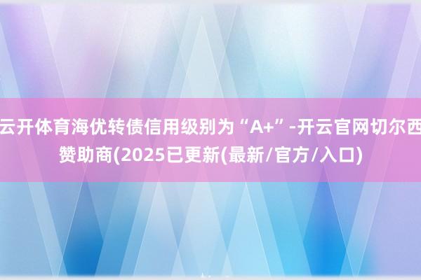 云开体育海优转债信用级别为“A+”-开云官网切尔西赞助商(2025已更新(最新/官方/入口)