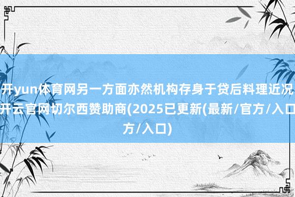 开yun体育网另一方面亦然机构存身于贷后料理近况-开云官网切尔西赞助商(2025已更新(最新/官方/入口)