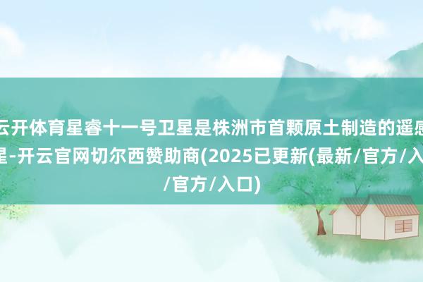 云开体育星睿十一号卫星是株洲市首颗原土制造的遥感卫星-开云官网切尔西赞助商(2025已更新(最新/官方/入口)