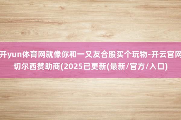 开yun体育网就像你和一又友合股买个玩物-开云官网切尔西赞助商(2025已更新(最新/官方/入口)